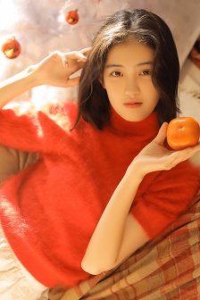 夺粮剿匪记央视版